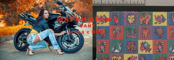 стафф Ростов