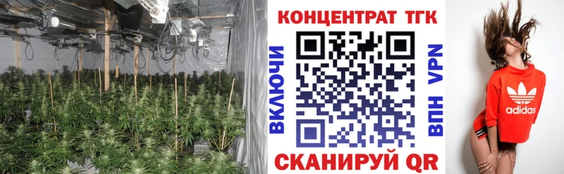 ТГК гашишное масло  Купить где  Тула